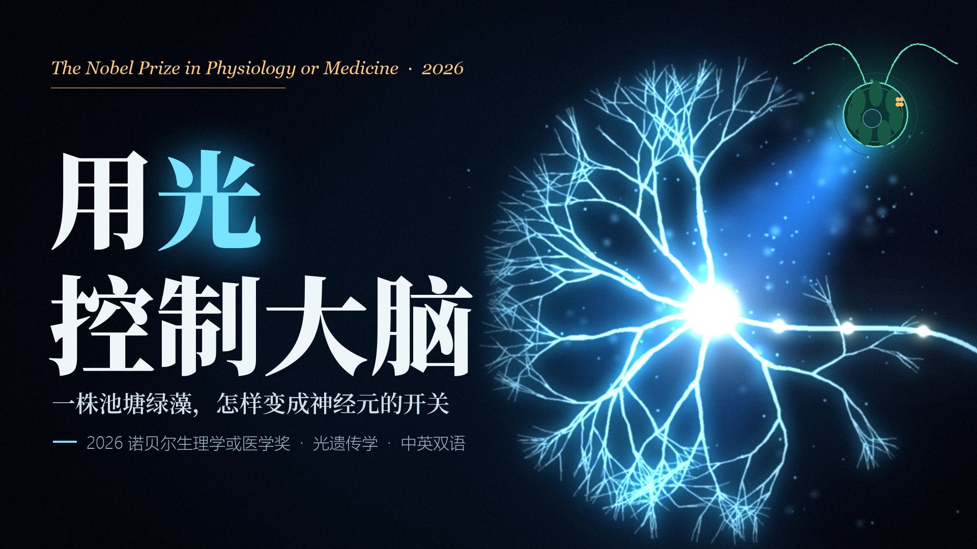 【2026诺奖】用光控制大脑？一株池塘绿藻，如何变成神经元的开关by claude Fable 5.1