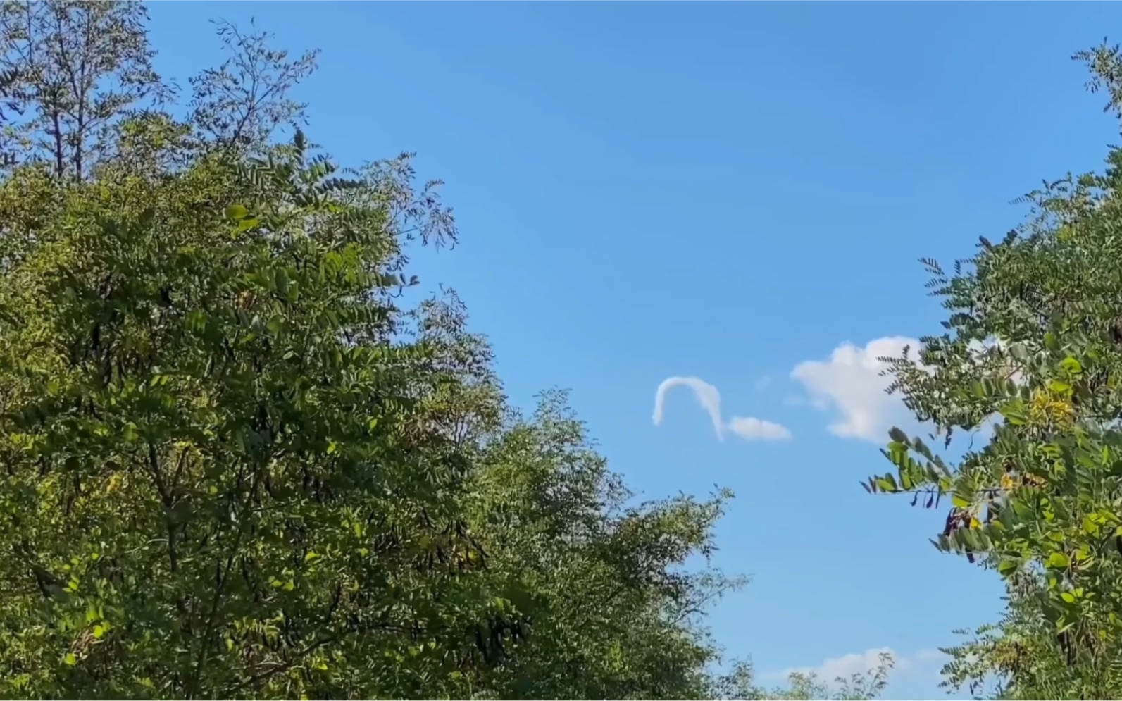 一朵飞翔的马蹄云