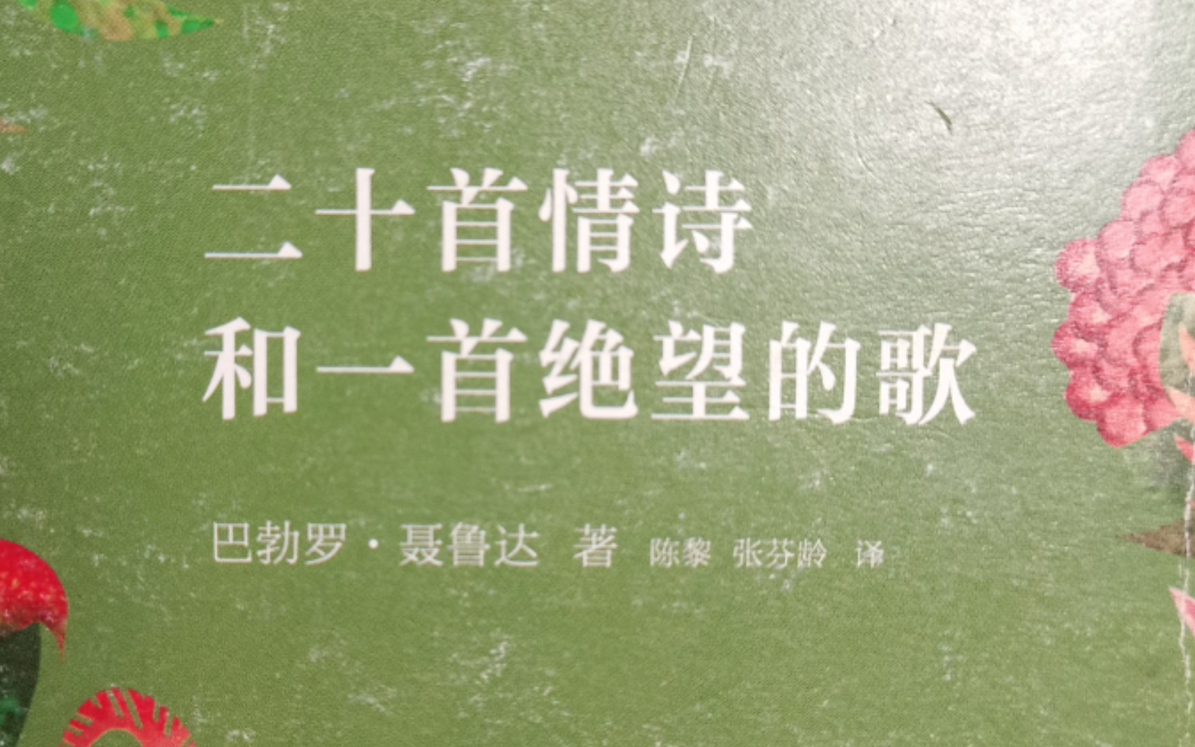 [图]《二十首情诗和一首绝望的歌》一个看得人很紧张的视频