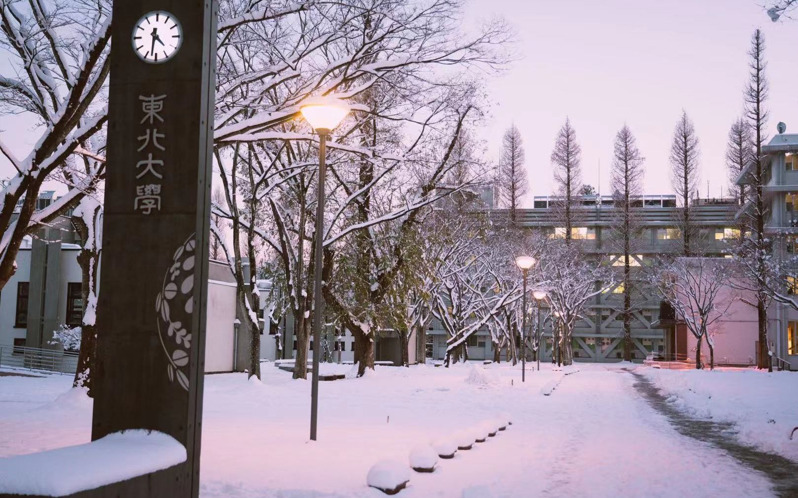 [图]【日本·仙台·东北大学】隔牖风惊竹 开门雪满山