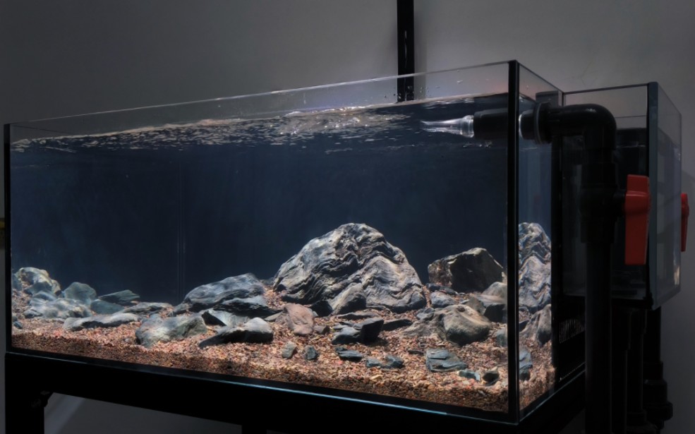 80溪流原生缸现状