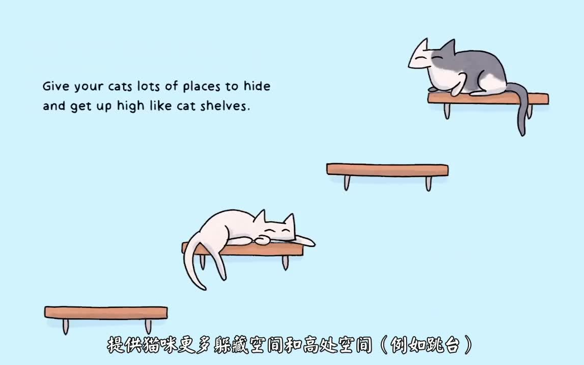 [图]【cats protection】想知道你家猫咪是朋友还是敌人？它们是干架还是玩闹？？交友行为大起底！Are your cats friends or foes