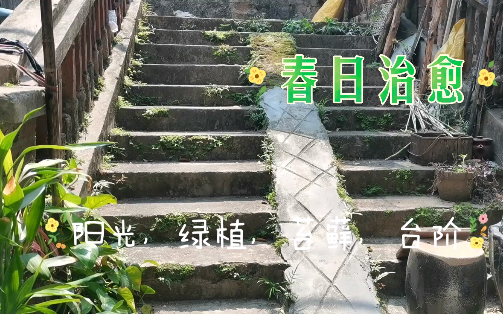 [图]春日治愈vlog小渔村