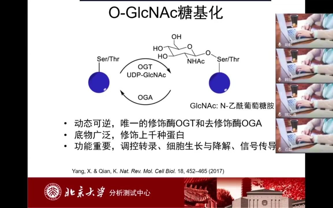 基于电子转移质谱的蛋白质OGlcNAc糖基化分析新方法哔哩哔哩bilibili