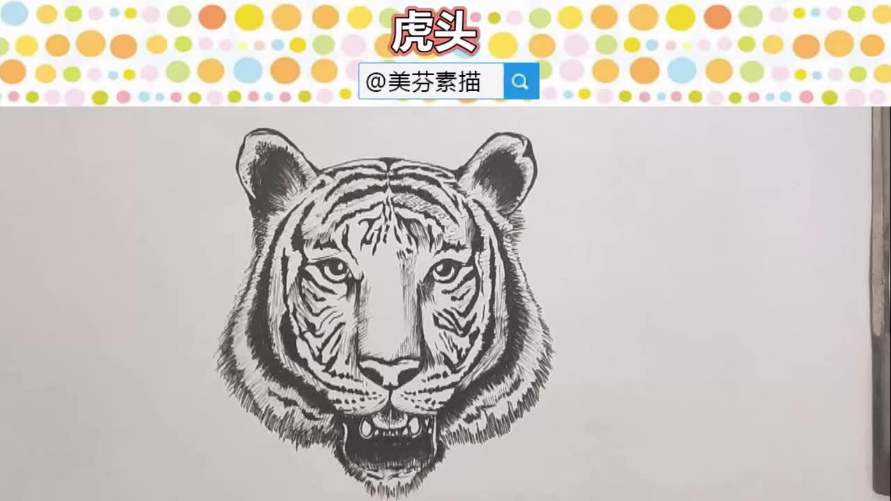 超霸气老虎速写入门教程教你画一只超逼真的老虎虎头动物素描画