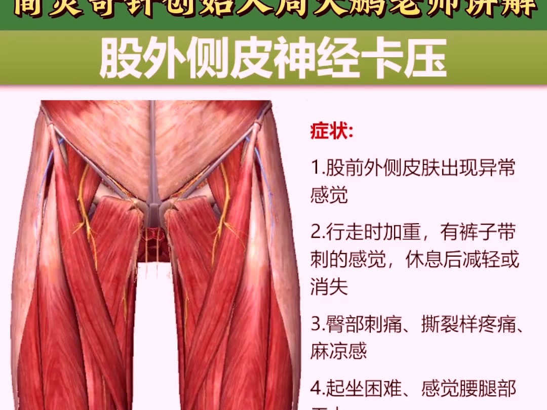 股外侧皮神经损伤