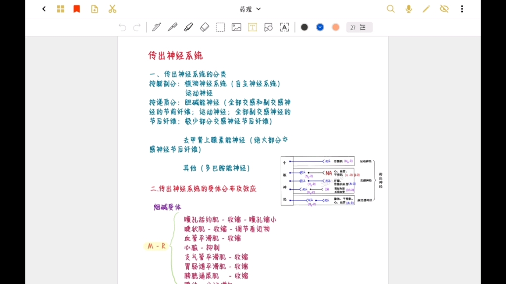 药理自制笔记分享传出神经系统哔哩哔哩bilibili