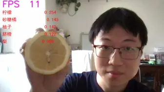 用训练得到的pytorch图像分类模型，识别图像、视频、摄像头画面【两天搞定AI毕设】