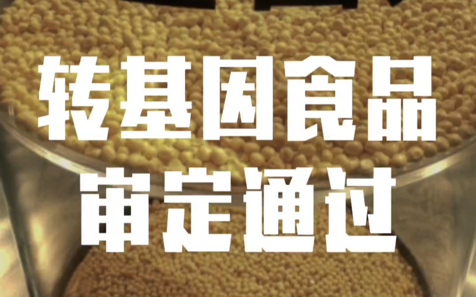 中国农业部近日审定通过五十一个转基因品种,包括三十七个转基因玉米品种和十四个转基因大豆品种.哔哩哔哩bilibili