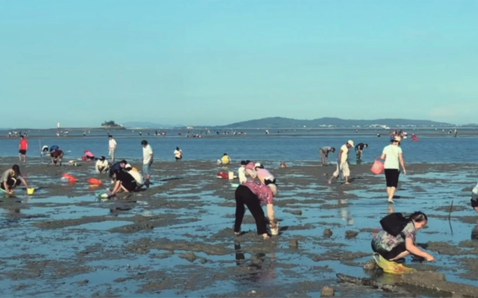 厦门环岛路百人海边赶海哔哩哔哩bilibili