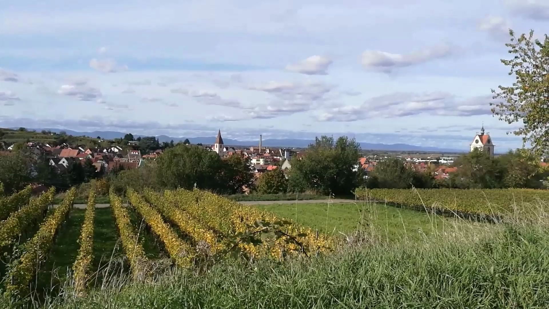 德国巴登州葡萄酒产区,更是绝佳的健步场所