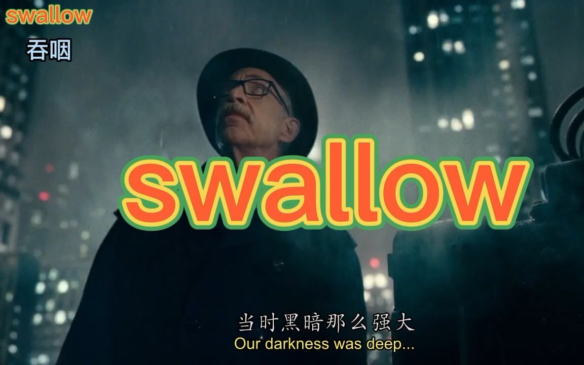 考研单词swallow哔哩哔哩bilibili