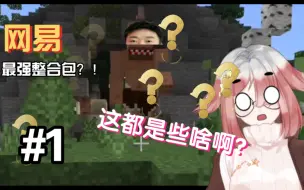 Descargar video: 网易MC整合包？！第一期