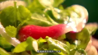 下载视频: 《地狱厨神-戈登拉姆齐特制【中式红绕麻辣牛尾】》中文字幕版