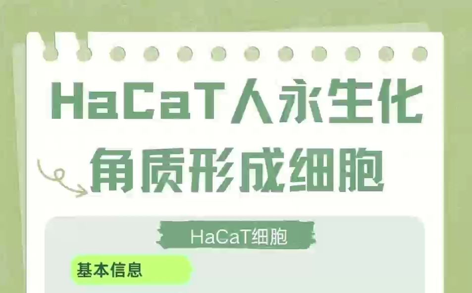 带你走进HacaT人永生化角质形成细胞的世界哔哩哔哩bilibili