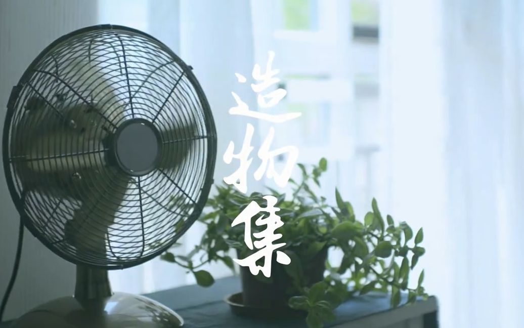 造物集 第一季 (14集)哔哩哔哩bilibili