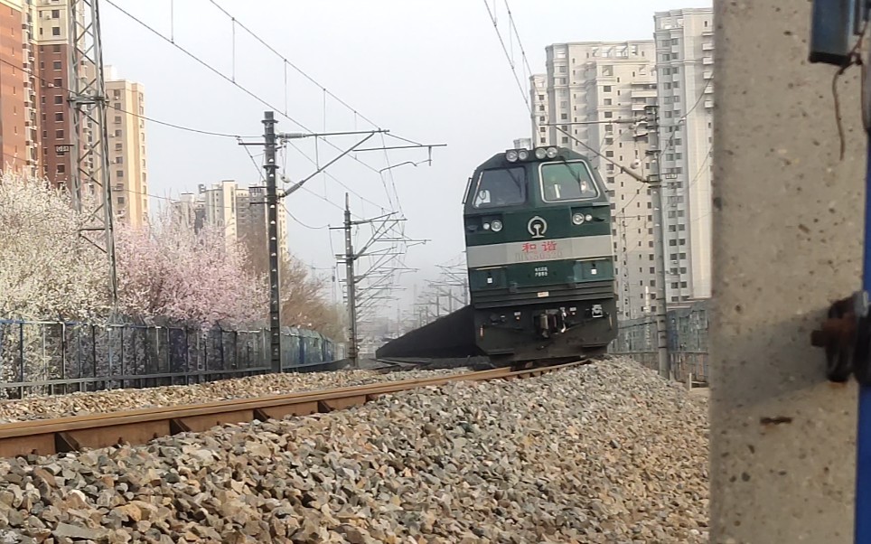 沈局吉段hxn50520牵引敞车大列抚顺北站接近