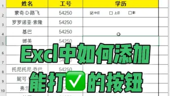 表格中插入能打对勾的按钮