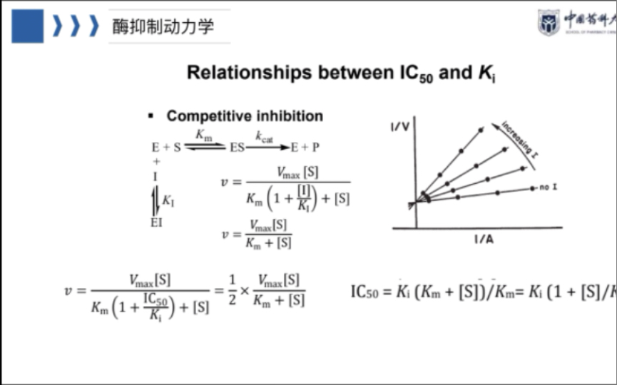 药代动实验设计 测定˜黄酮对肝微粒体CYP1A2代谢非那西丁的半抑制浓度哔哩哔哩bilibili