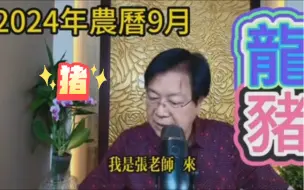 Download Video: 【张古柏老师】2024甲辰年十二生肖10月猪运势分析