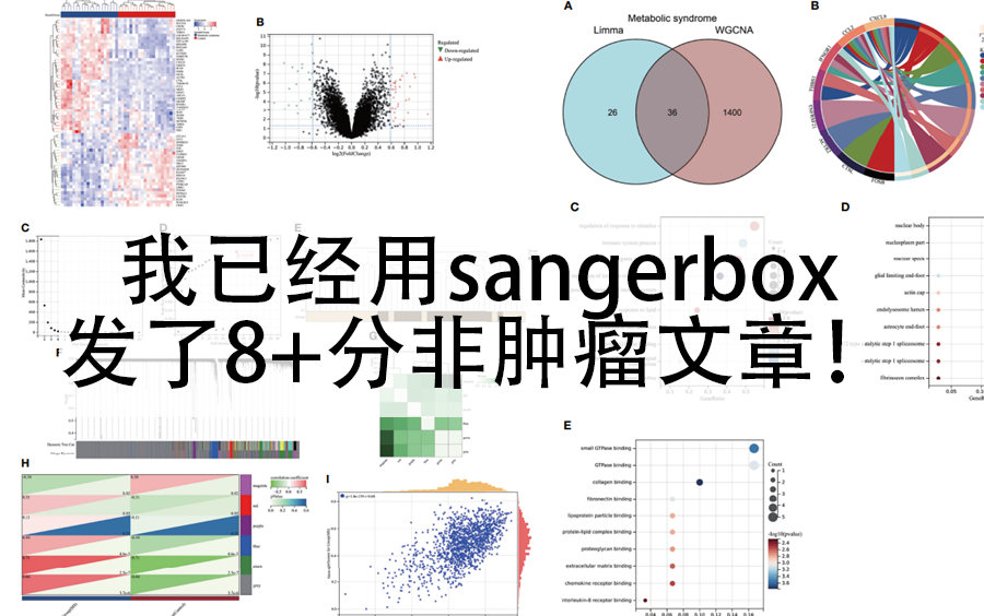 [图]0代码，使用sangerbox发了8分+非肿瘤文章！