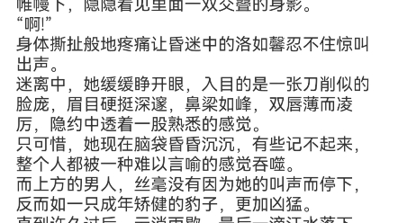 《重生刚睁眼,禁欲指挥使傍我身》洛如馨傅长轶小说包结局阅读最新哔哩哔哩bilibili