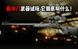 Download Video: 最冷门武器试玩 它到底叫什么！ 逃离塔科夫