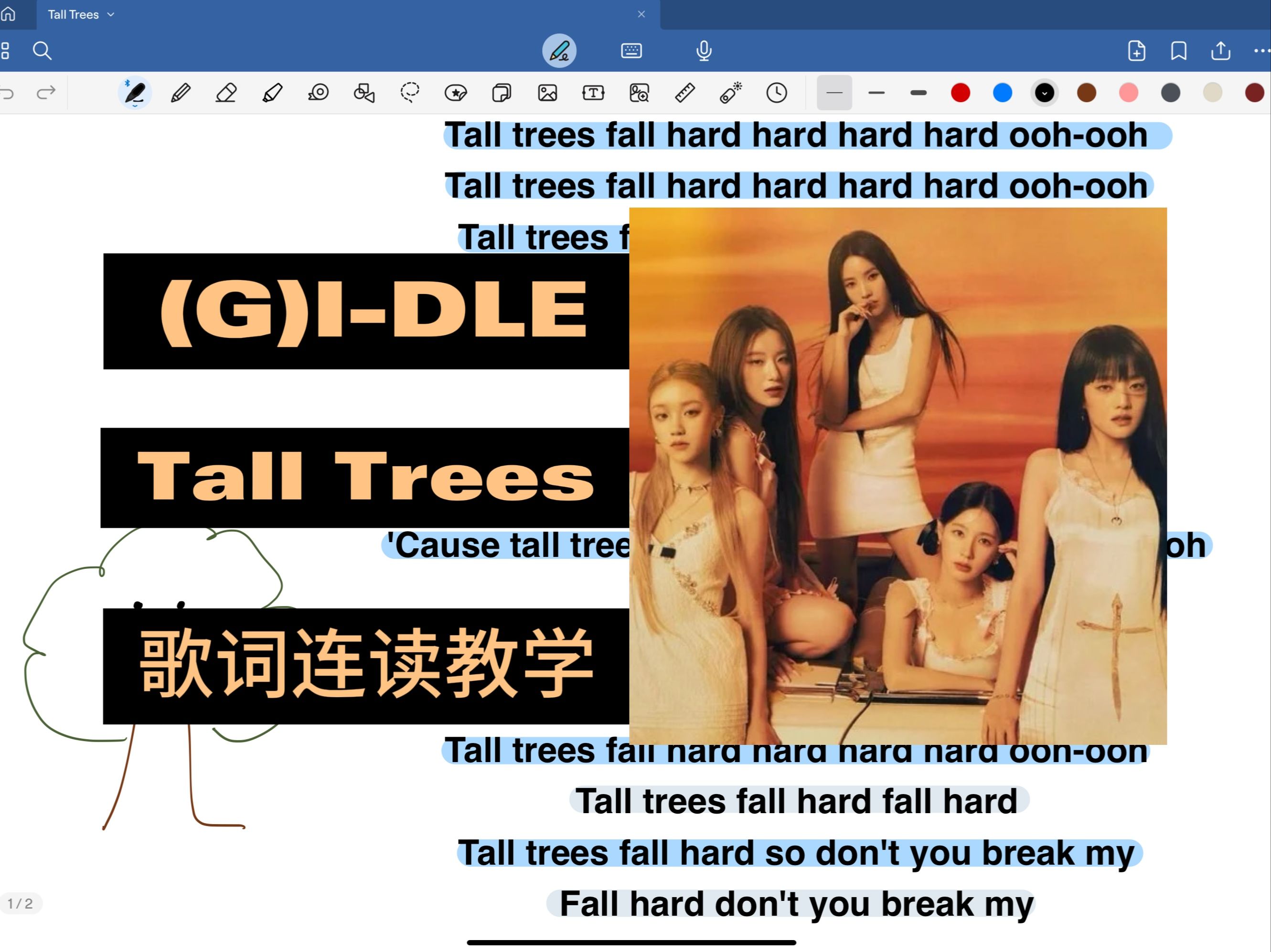 (G)IDLE Tall Trees 歌词连读教学哔哩哔哩bilibili