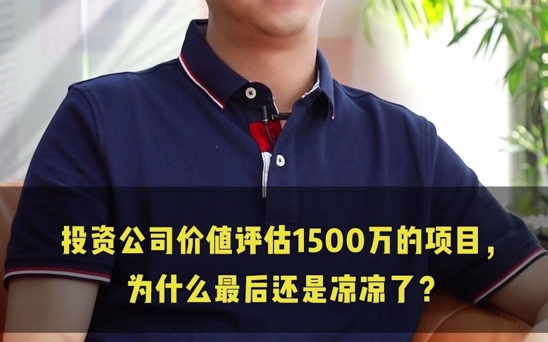 1个项目、5个人、5万块钱、10个月的时间、扩张到80人的团队,投资公司价值评估1500万的项目,为什么最后还是凉凉了?哔哩哔哩bilibili