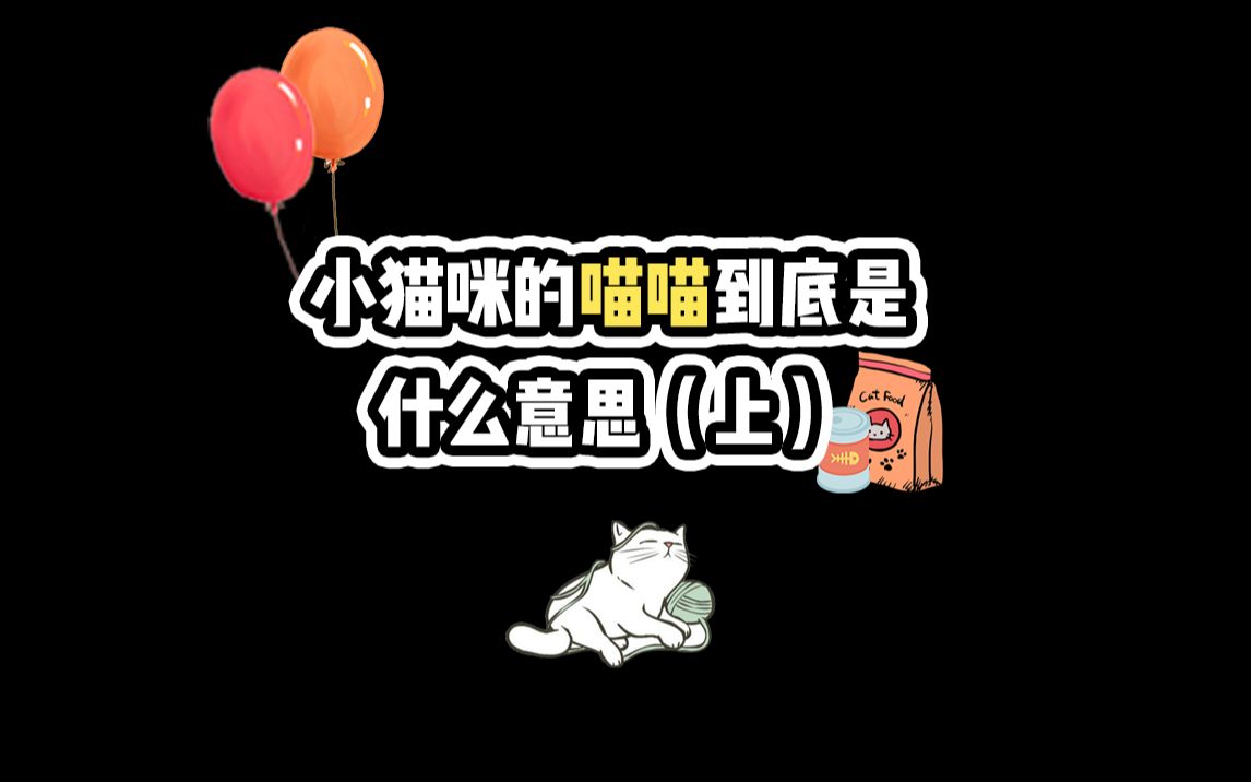 小猫咪的喵喵叫是什么意思(上)哔哩哔哩bilibili