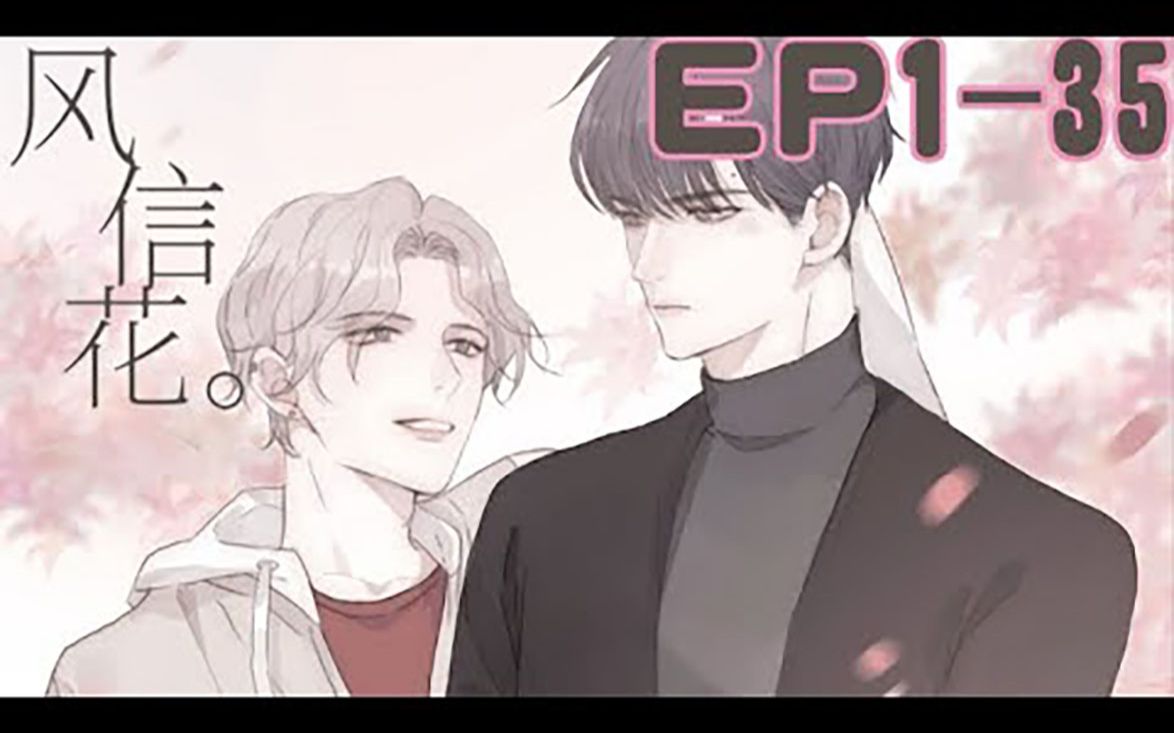 《风信花》第123话 迟开之花 、 我的美人 、 蜜糖陷阱 #bl #腐漫 #男男 #恋爱哔哩哔哩bilibili