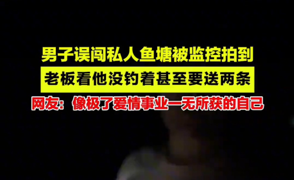 「偷鱼贼」被监控拍到,老板竟送两条鱼?网友:这是什么操作?哔哩哔哩bilibili