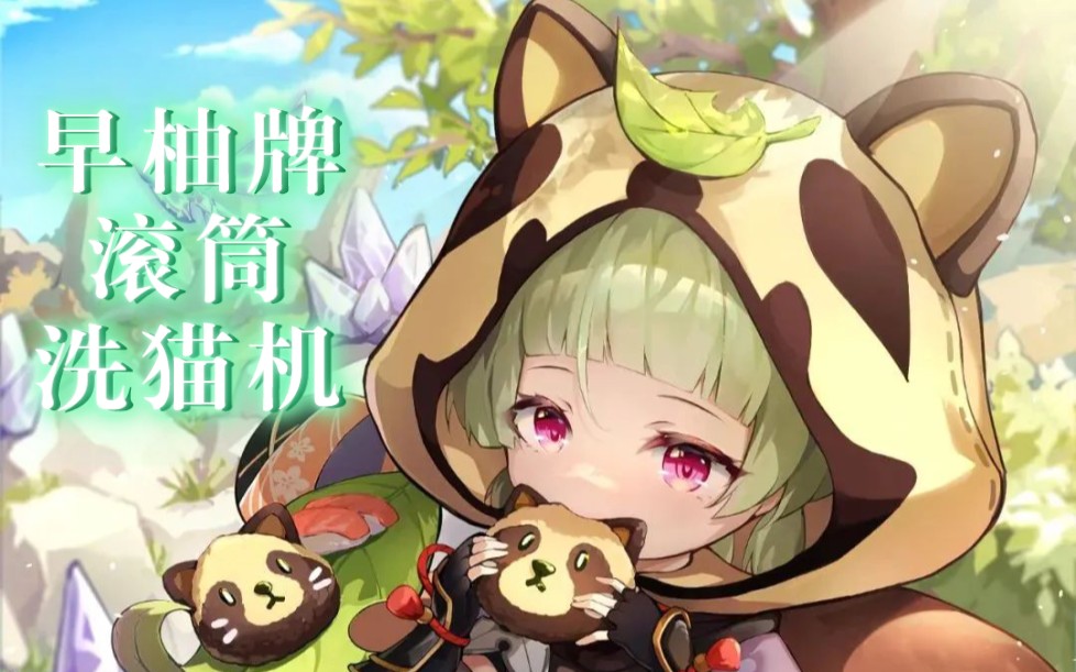 早柚牌滚筒洗猫机