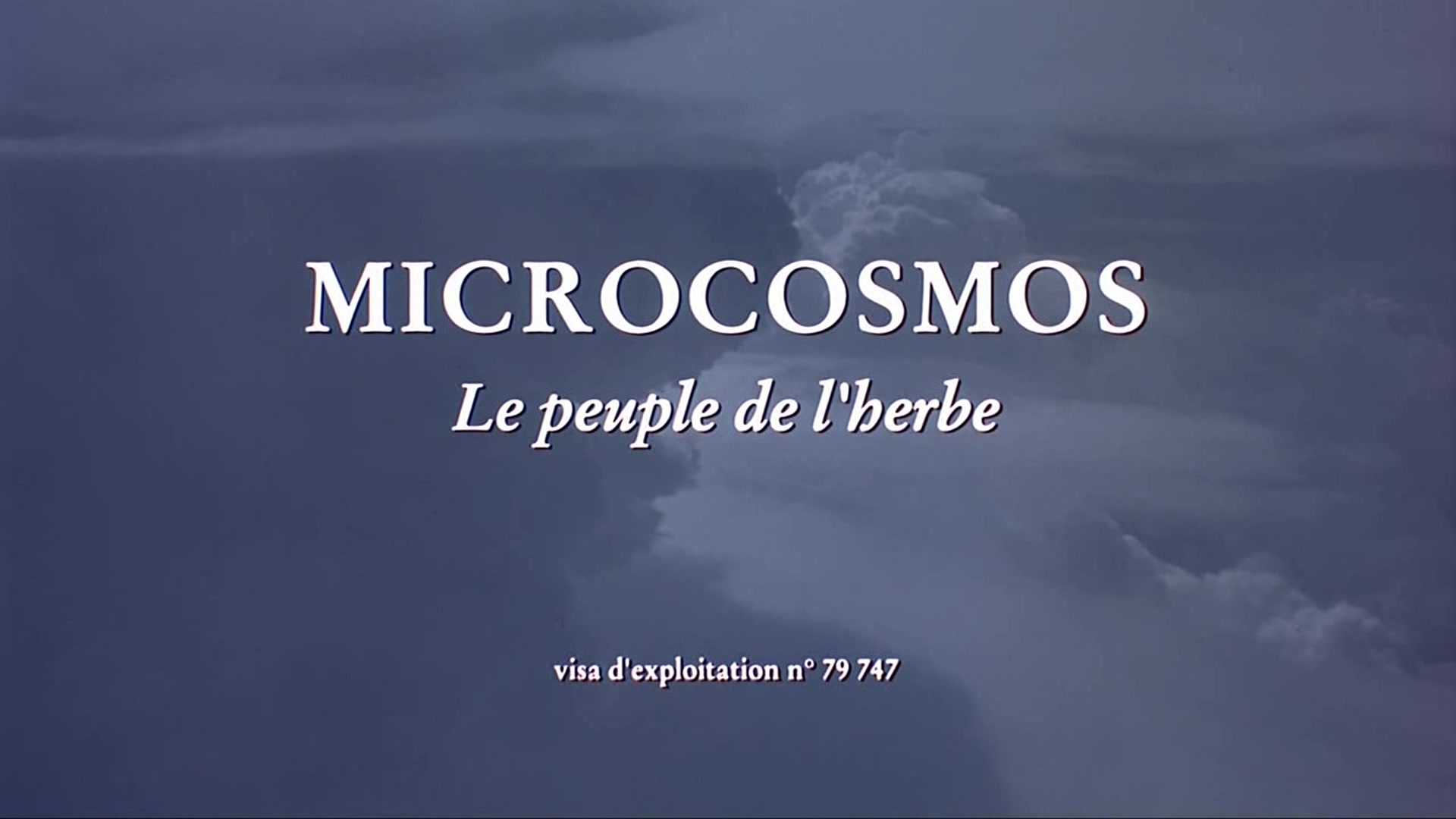 【纪录片】微观世界 Microcosmos 1996【生肉】哔哩哔哩bilibili