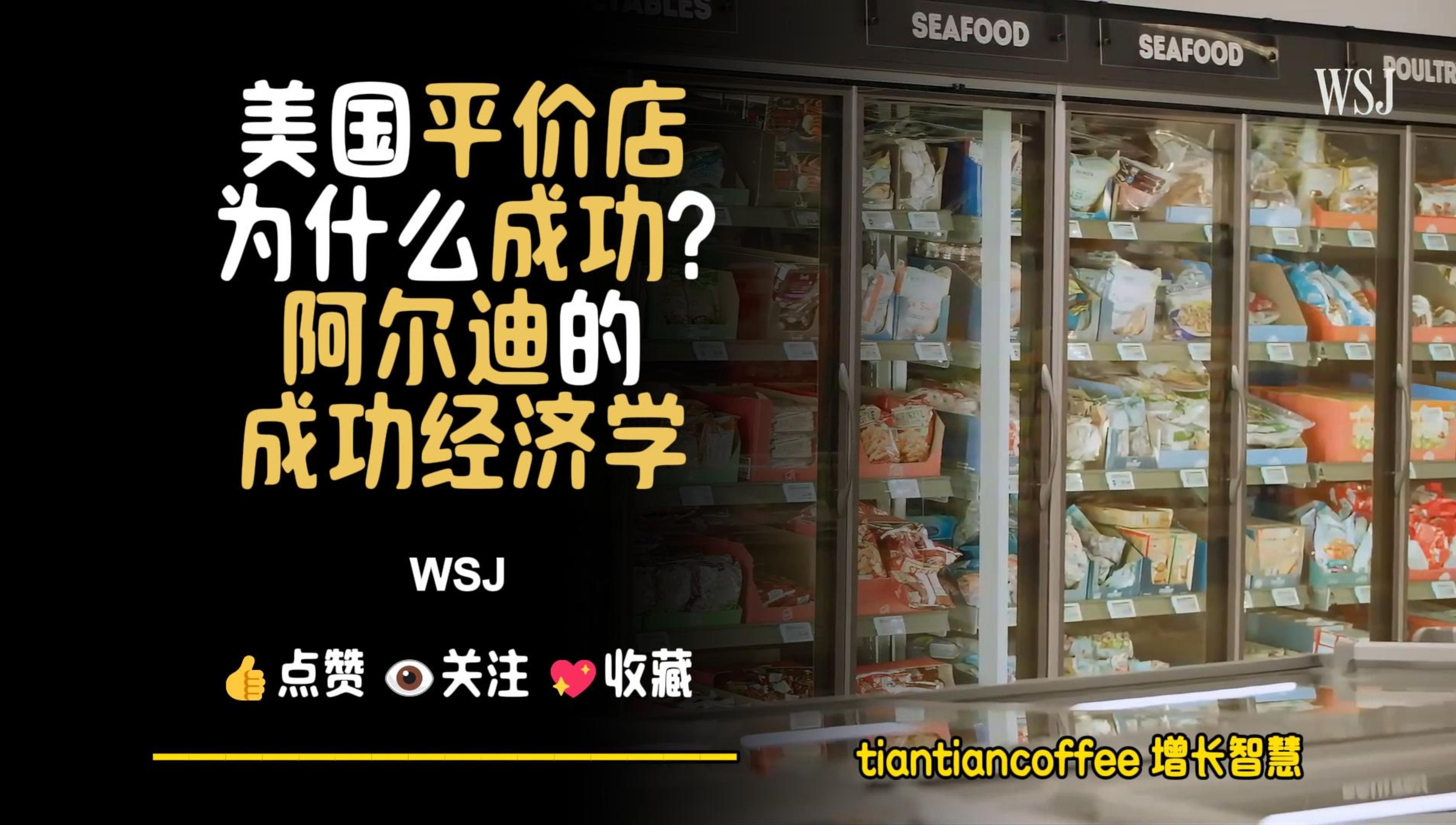 美国平价店为什么成功?►阿尔迪的成功经济学 – WSJ哔哩哔哩bilibili