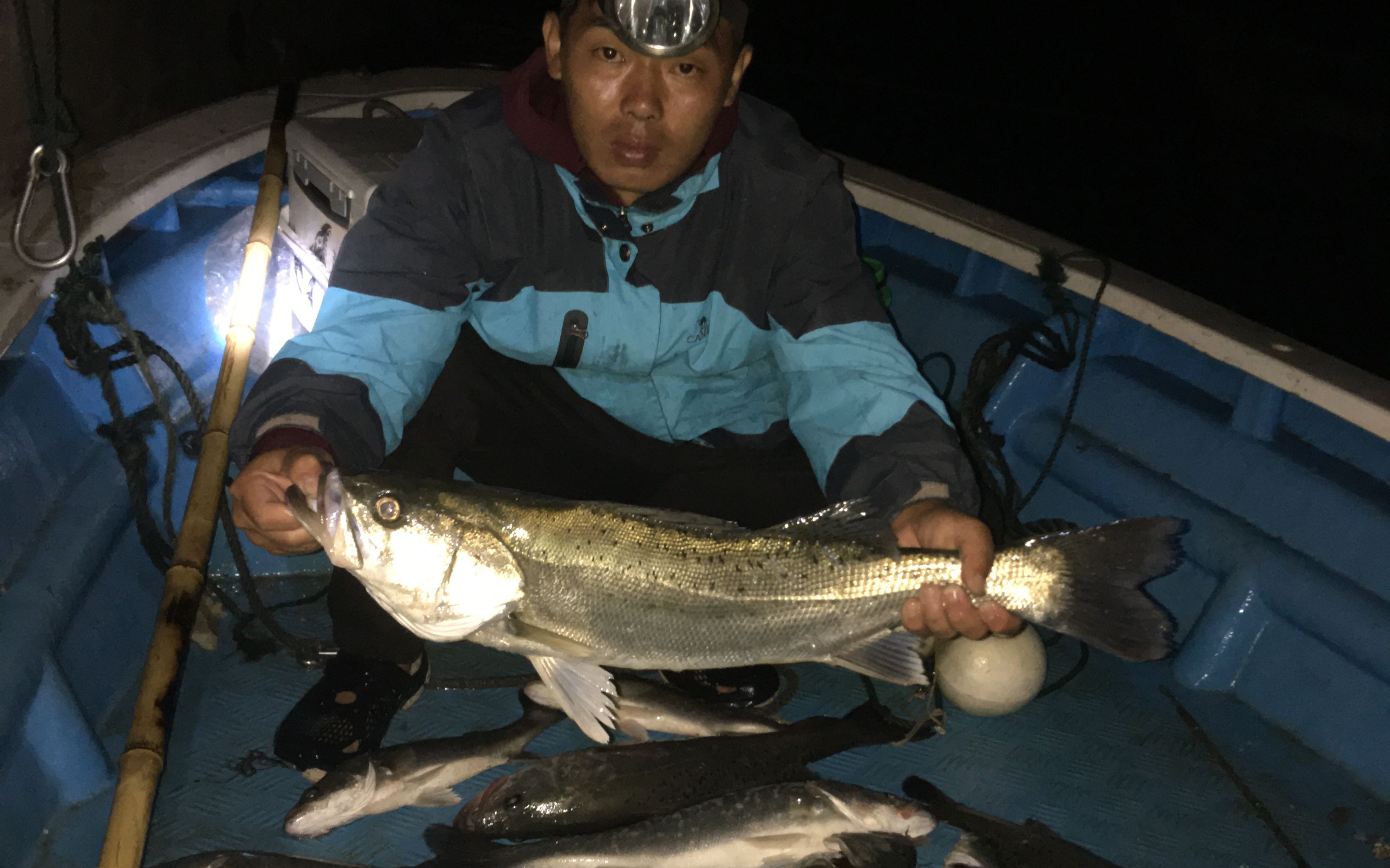 海蛎田夜钓大海鲈,两三小时收货二十多近,周围都是海鲈炸水!