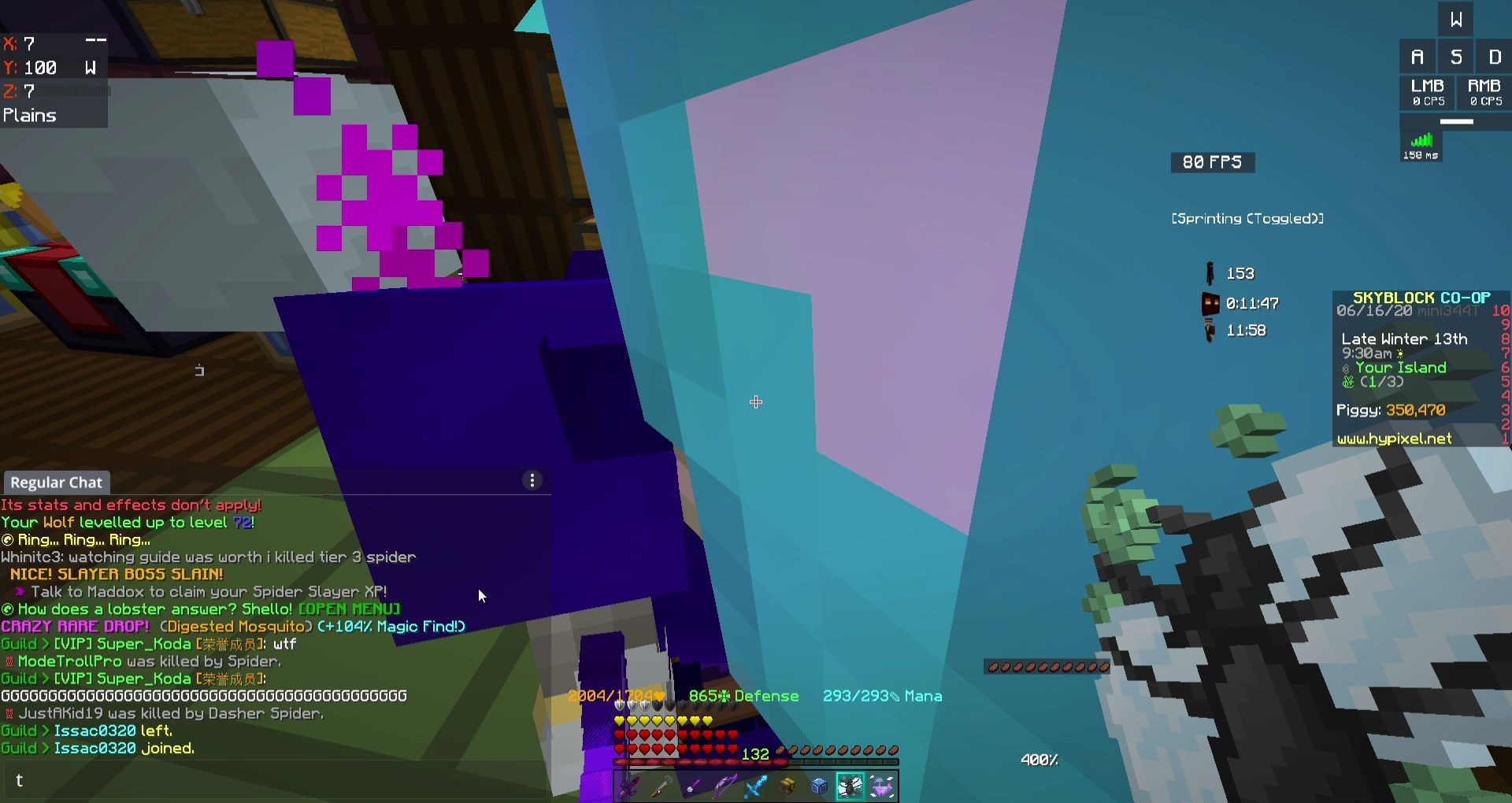 skyblock当护符都没出的小萌新出了蚊子肉