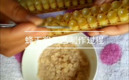 蜂王浆制作过程哔哩哔哩bilibili