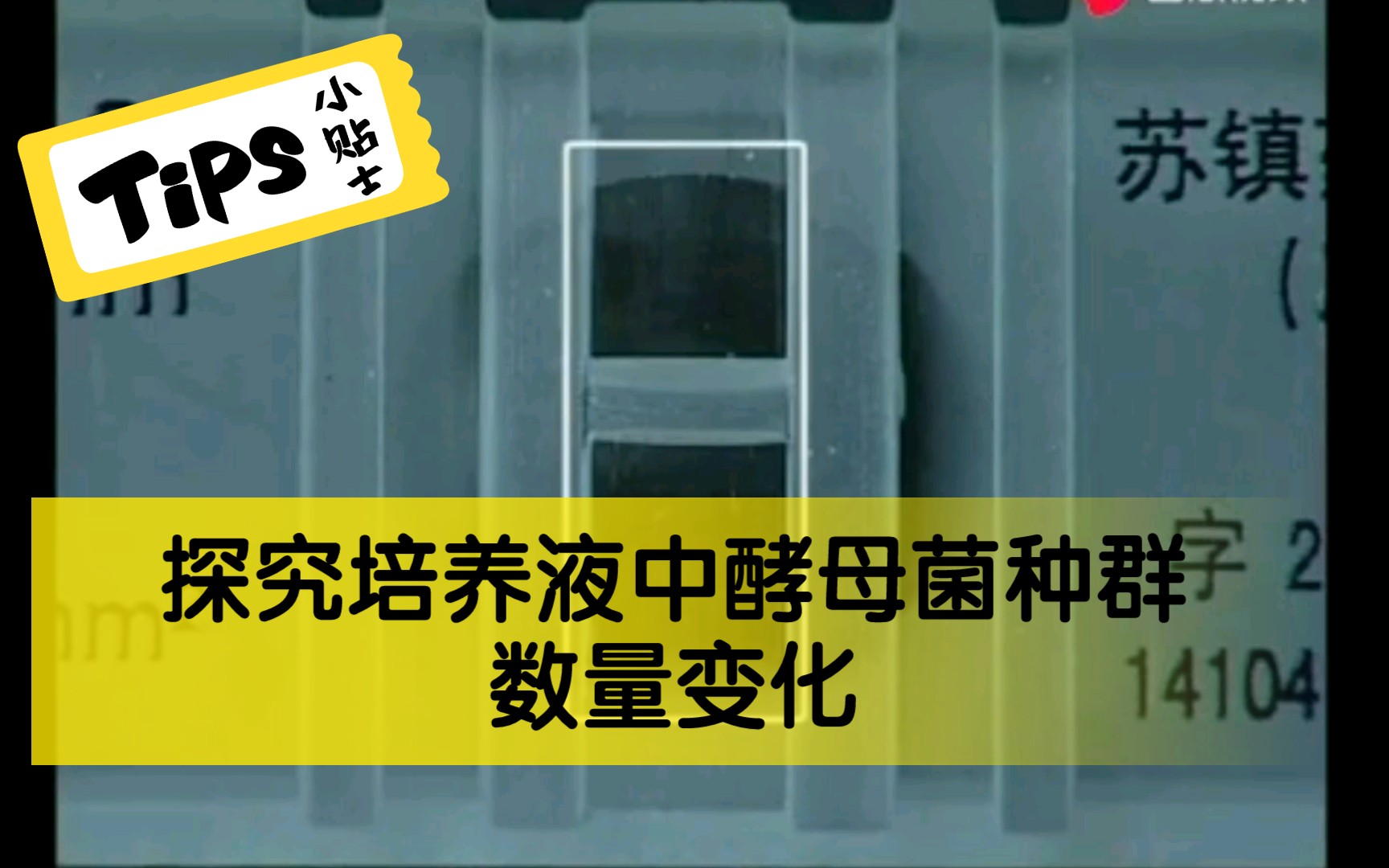 144高中生物必修三实验 17探究培养液中酵母菌种群数量变化