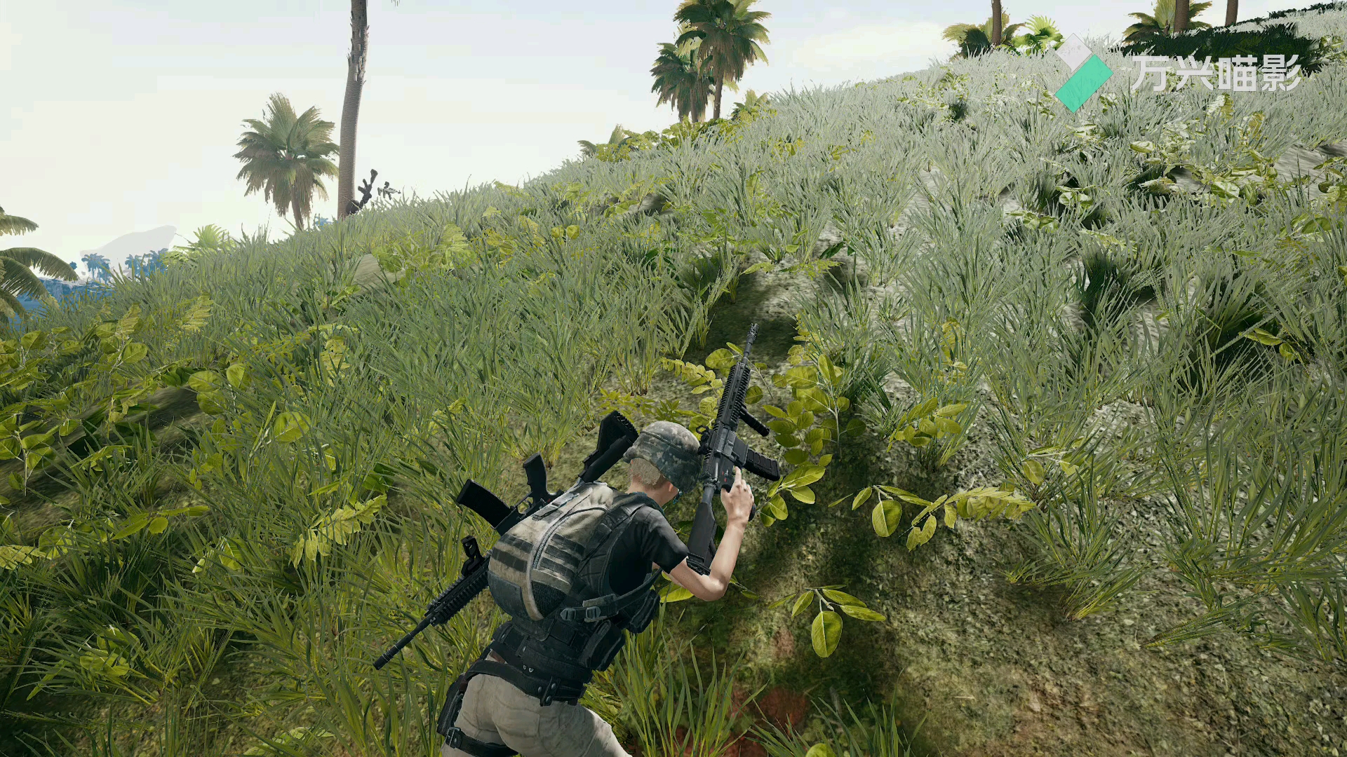 不会做视频,求大佬指教.真心求.