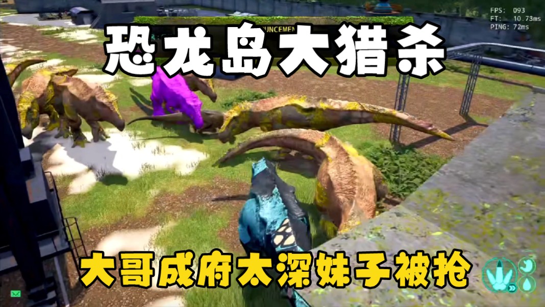 一、引言