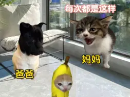 当我小时候帮父母传话时 #猫meme #搞笑 #小时候 #抽象