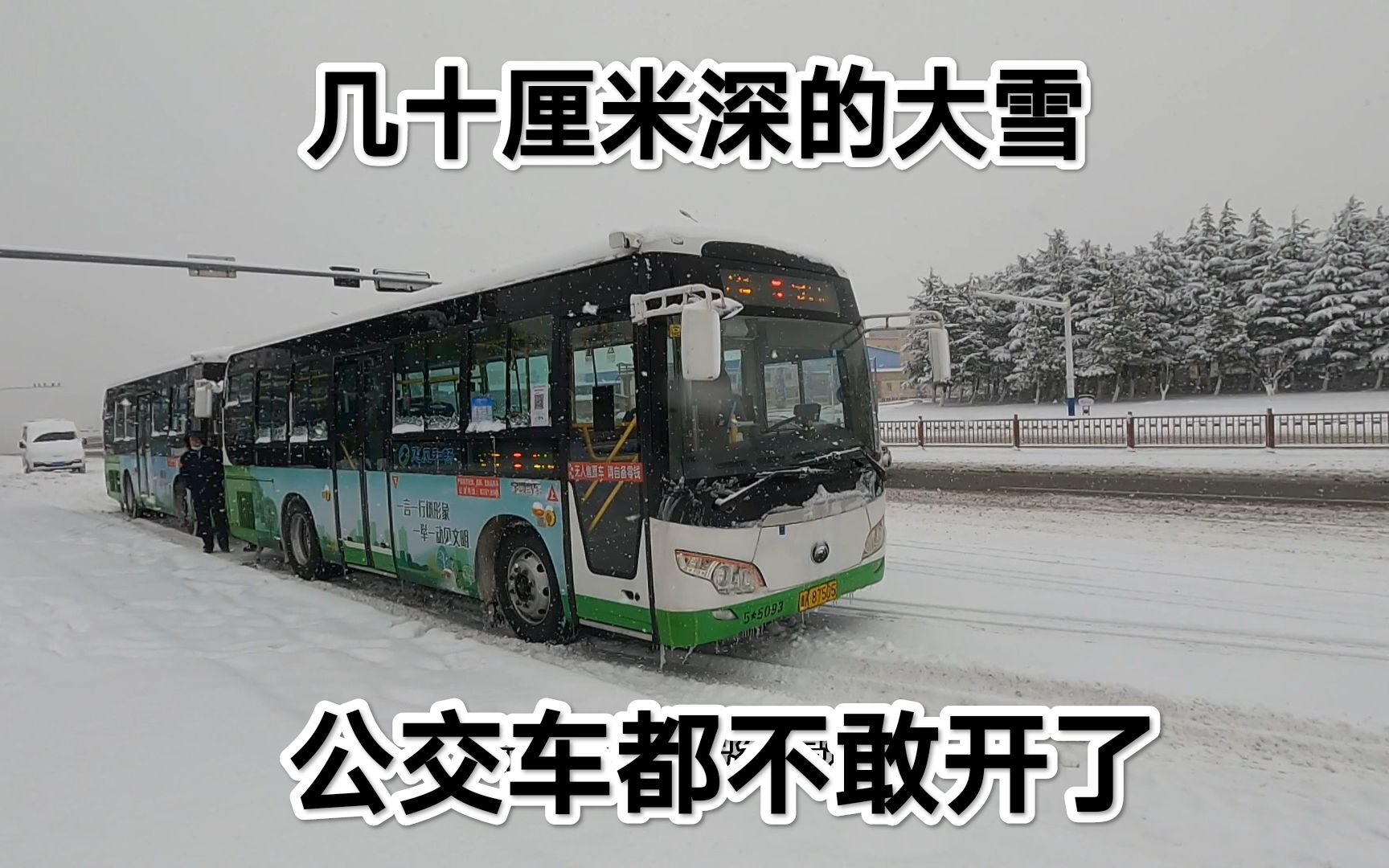 冬至节气,威海文登突降大暴雪,下了20个小时,近几年最大的一次哔哩哔哩bilibili