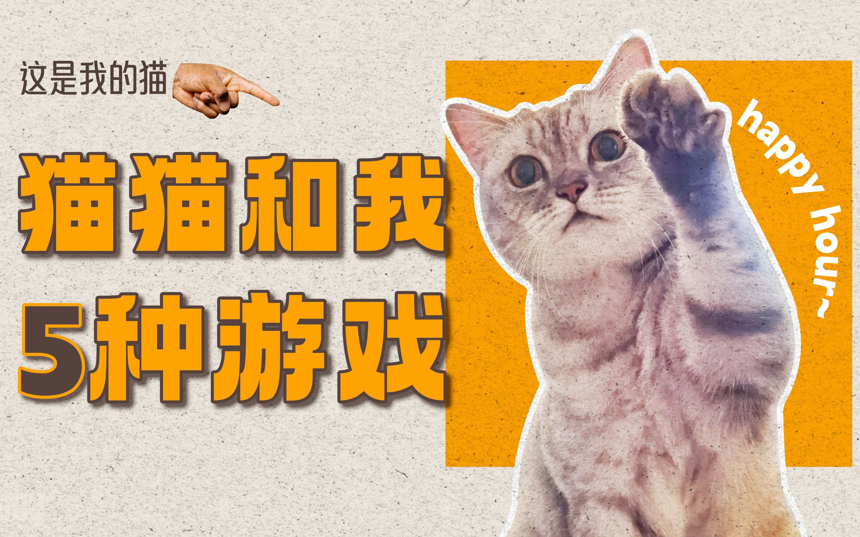 [图]天天逗猫棒？腻了。再来5种好玩的互动游戏吧