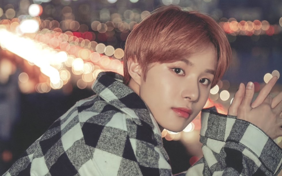 【金廷祐】美美收藏一些漂亮小狗