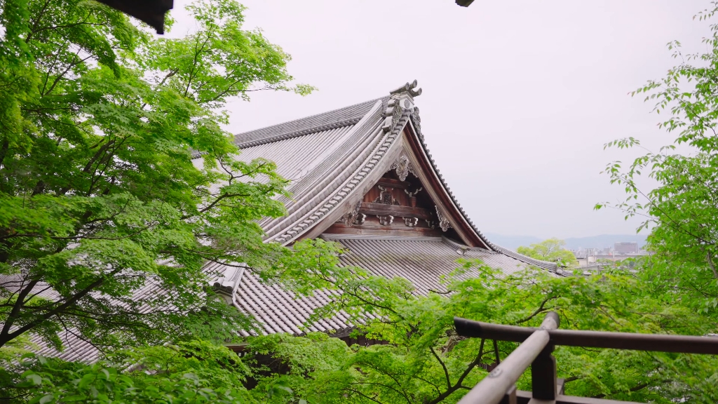 京都永观堂初夏的雨在京都漫步雨中的永观堂禅林寺日本京都ep007