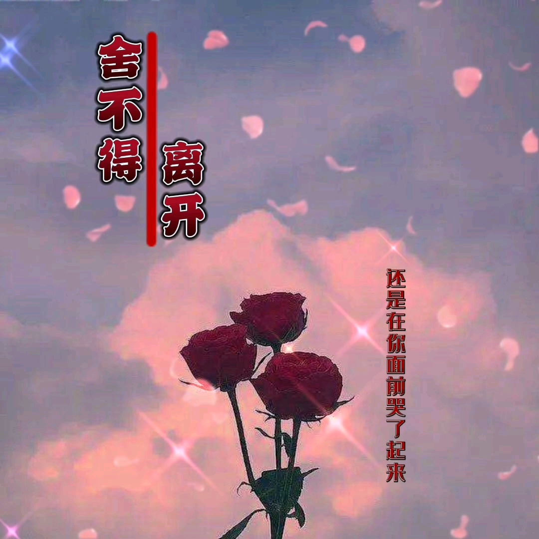 杨啟-满汉女神直播录音:舍不得离开
