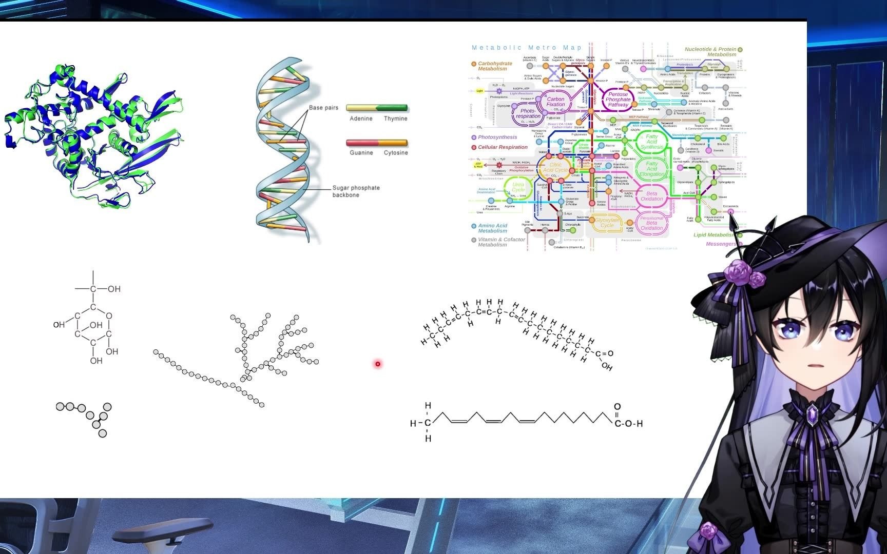 [简明易懂的现代魔法入门]1.0 生物化学概述与水与氢键哔哩哔哩bilibili