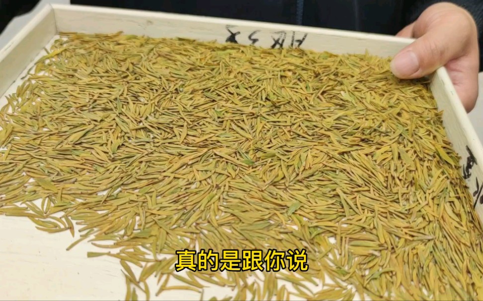 惊现6800一斤的茶,极白只能算个弟弟!今天白茶家族齐聚,科普一波了!哔哩哔哩bilibili