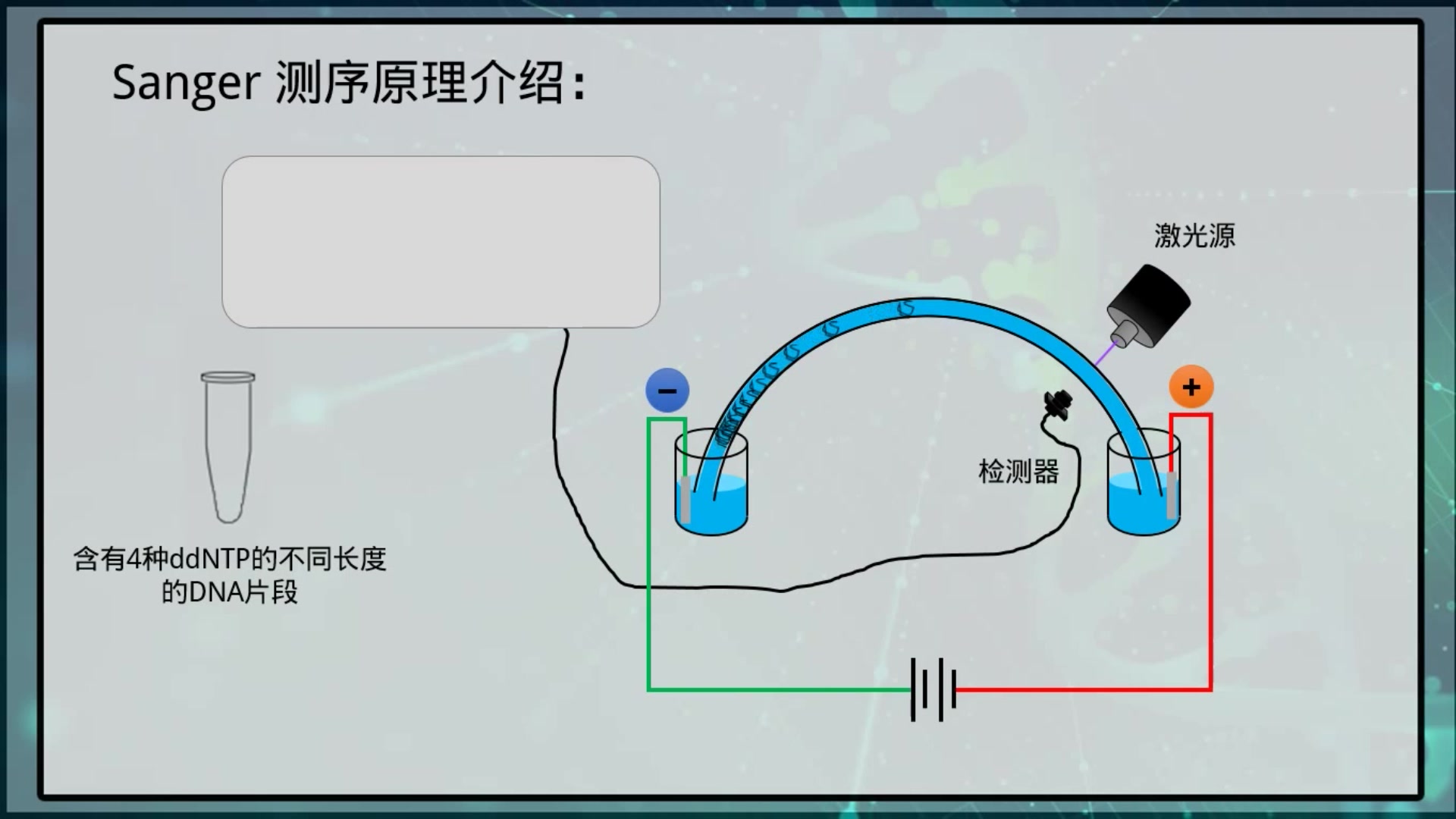 【测序专题01】Sanger测序原理哔哩哔哩bilibili